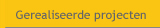 Gerealiseerde projecten